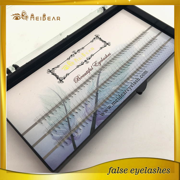 Factory supply own brand 2D 6D  pre-fanned volume eye lashes extension